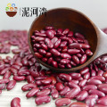 China Manufacturer Wholesale dark red kidney bean price